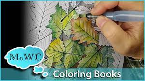 Use wet on wet, wet on dry and dry brush watercolors techniques. Coloring With Watercolor In Adult Coloring Books Youtube