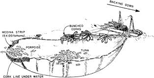 Hasil gambar untuk purse seine