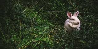 Monday, 5th april 2021, 10:17 am. Easter Getaways Best Places To Visit In Usa For Easter Weekend 2021