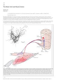 Spike potentials can be elicited by. Pdf The Motor Unit And Muscle Action
