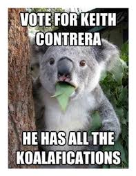 These Are My Campaign Posters For Student Council Koala Meme Koala Bear Cute Animals