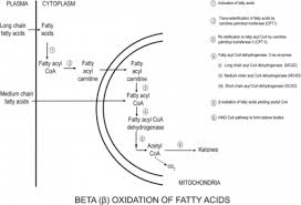 Image result for MCAD Deficiency
