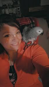 Stumpy the snake's health and bird interactions