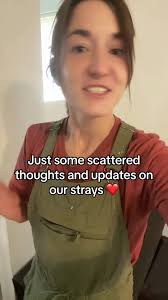 🐕❤️🌈 #dogrescuer #rescuedogs #strays #straydogs #update #dogsoftiktok