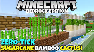 Subscribe in this video, i show you how to make a cactus farm in 1.16. Minecraft Bedrock Zero Tick Sugarcane Bamboo And Cactus Farm Tutorial Instant Crops Mcpe Xbox Pc Youtube