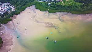 Sam Pui Chau Videos: Download 27+ Free 4K & HD Stock Footage Clips