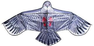 Thanks for watching our channel. Great Eagle Flying Dragon For Kids Adults Huge 200 X 83 Cm Wingspan Dragonfly Lifelike Black 8560 Categories Toys