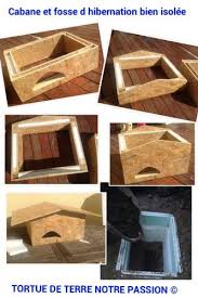Photogrid 1411903218369 Jpg Tortue Tortue De Terre Enclos Tortue
