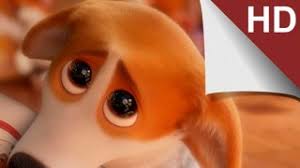 королевский корги 2019 смотреть онлайн в Hd 1080 720 The Queens Corgi Hd Twitch