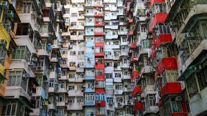 Hong Kong Free Tours Explore The Dark Side Of The City