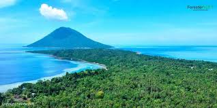 Check spelling or type a new query. Taman Nasional Bunaken