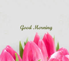 Or if you do not want to download the.apk file you can still run good morning gif for whatsapp pc by connecting or configuring your google account with the emulator and downloading the app from play store directly. Good Morning Animated Images Free Download Latest World Events