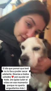 Fiestas con los Dogos: Un homenaje al príncipe