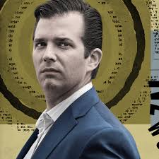 How Trump Jr.'s Fixer Arthur Schwartz Wages War Against the Media