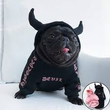 Available in a range of colours and styles for men, women, and everyone. French Bulldog Costumes Frenchie World Shop
