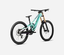 Image result for Orbea longidens