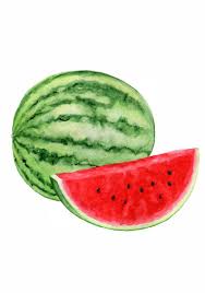 Clipart De Melon Deau Lete Des Cliparts Aquarelle Fruits Etsy Watercolor Fruit Fruit Painting Watercolor Food
