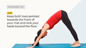 Or we may go into a yoga class in which the teacher encourages us to sit in silence with our hands perched on our knees, index fingers touching thumbs, and wonder: 30 Essential Yoga Poses For Beginners
