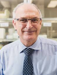 Imagining new cities