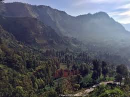 Gambar kursi taman unik dan cantik. Ekspedisi Mendaki Gunung Semeru Puncak Tertinggi Kepulauan Jawa Indonesia Www Sobriyaacob Com