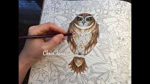 Hobbyists are finding this to be a fun activity and are using their finished art pieces in craft projects. Owls Drawing Coloring With Colored Pencils Secret Garden Youtube