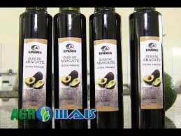 O abacate é uma fruta muito comum no brasil. Producao De Azeite De Abacate No Sul De Minas Agro Mais 22 04 18 Youtube