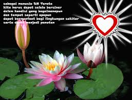 Ada beberapa gambar bunga terindah dan terunik yang tersebar didunia. Terbaru 33 Gambar Bunga Terate Psht