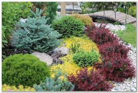 Pin On Low Maintenance Landscaping
