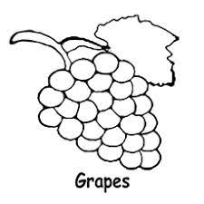 Maybe you would like to learn more about one of these? Top 25 Free Printable Lovely Grapes Coloring Pages Online