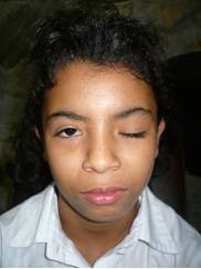 draft 2008-2009 Annual Report compressed.pub