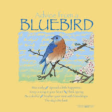 Quotes About Bluebirds Quotesgram