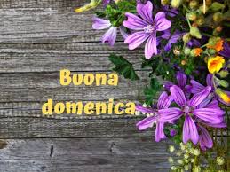 Le immagini più belle per augurare una buona domenica le trovi qui! Buona Domenica Frasi 107 Aforismi Con Foto E Video Per Augurare Buona Domenica Passione Mamma