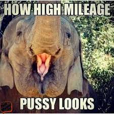 151 Funny Dirty Memes Dirty Jokes Making Your Mind Dirty The best nasty memes and images of november 2020.