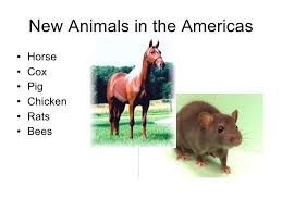 The old world and the new world swap people, spices, gold, and diseases in the columbian exchange! La The Columbian Exchange