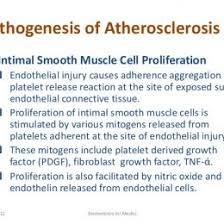 pathophysiologyofatherosclerosis atherosclerosis