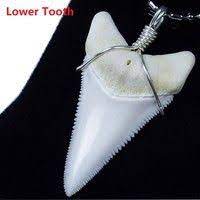Real Great White Shark Tooth Necklace 2 2 Inch Megalodon Tooth Huge Jaws Silver Men S Necklace Geek Shark Tooth Necklace Great White Shark Teeth Shark Teeth