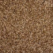 Get results from several engines at once. Stainmaster Petprotect Nitro Stardust Carpet Sample Lowes Com Carpet Samples Stainmaster Carpet