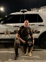 The jail houses all condemned and captured county prisoners just as vanderburgh county and government detainees on the way or anticipating preliminary. Sheriff S Office K 9 Tracks Three Felons In One Night