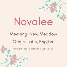 Novalee In 2020 Baby Girl Names Uncommon Baby Names Gender Reveal Decorations