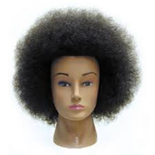 Celebrity Hair Manikins Naomi Budget Afro Naomi Budget Afro Manikin E700 20 Inch Brown 100 Permanent Human Hair With Hair Mannequin Human Hair 100 Human Hair