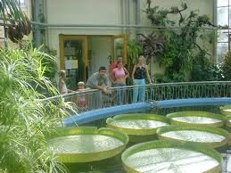 Check spelling or type a new query. Gradina Botanica Cluj Napoca Romania Mapio Net