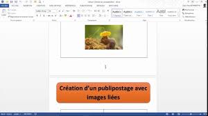 word creer un publipostage avec image dynamique tutoriel video bureautique microsoft excel
