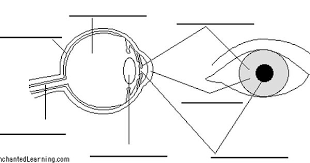 Pin On Learning Education Pedagogy Homeschool Info And Randos