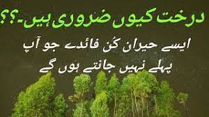 Yet, tree planting is often pictorially advertised on television and in national magazines by focusing on cupped. Why Trees Are Important Benefits Of Trees Ø¯Ø±Ø®Øª Ú©ÛŒÙˆÚº Ø¶Ø±ÙˆØ±ÛŒ ÛÛŒÚº Ø¯Ø±Ø®ØªÙˆÚº Ú©Û' ÙÙˆØ§Ø¦Ø¯ Youtube
