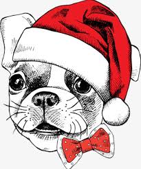 Check spelling or type a new query. Celebrate Christmas Dog Png Clipart Animal Birthday Birthday Dogs Bow Cartoon Free Png Download