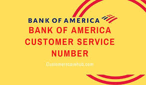Met aankoopverzekering van 180 dagen, aflevergarantie en meer. Bank Of America Customer Service Number 24 Hrs