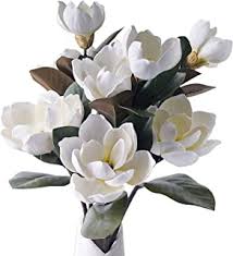 Our magnolia silk flower stems will prove that they are just as realistic, breathtakingly gorgeous and romantic as the most expensive flower stems you can buy. Amazon Com Artificial Magnolia Flowers