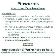 Image result for Pinworm Test