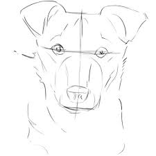 To create a realistic picture, you should find an appropriate nature. Draw A Dog From A Photograph