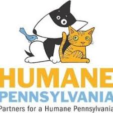 This is for the safety of staff and volunteers and is due to the ever rising covid numbers in the lehigh valley. Clear The Shelters Free Adoption Event Pet Food Donation Drive At Humane Society Of Berks County Bctv